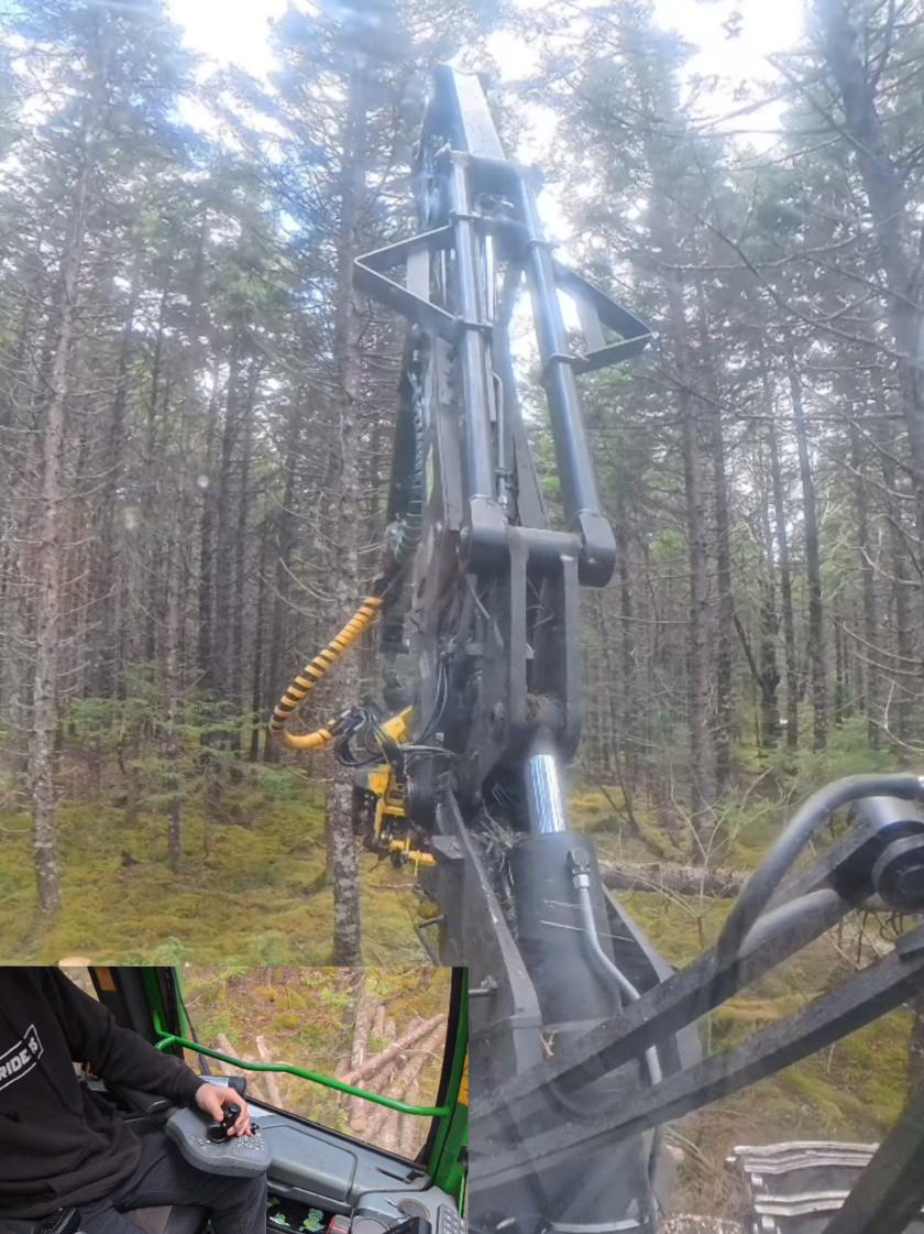 @Nova Scotia Logger