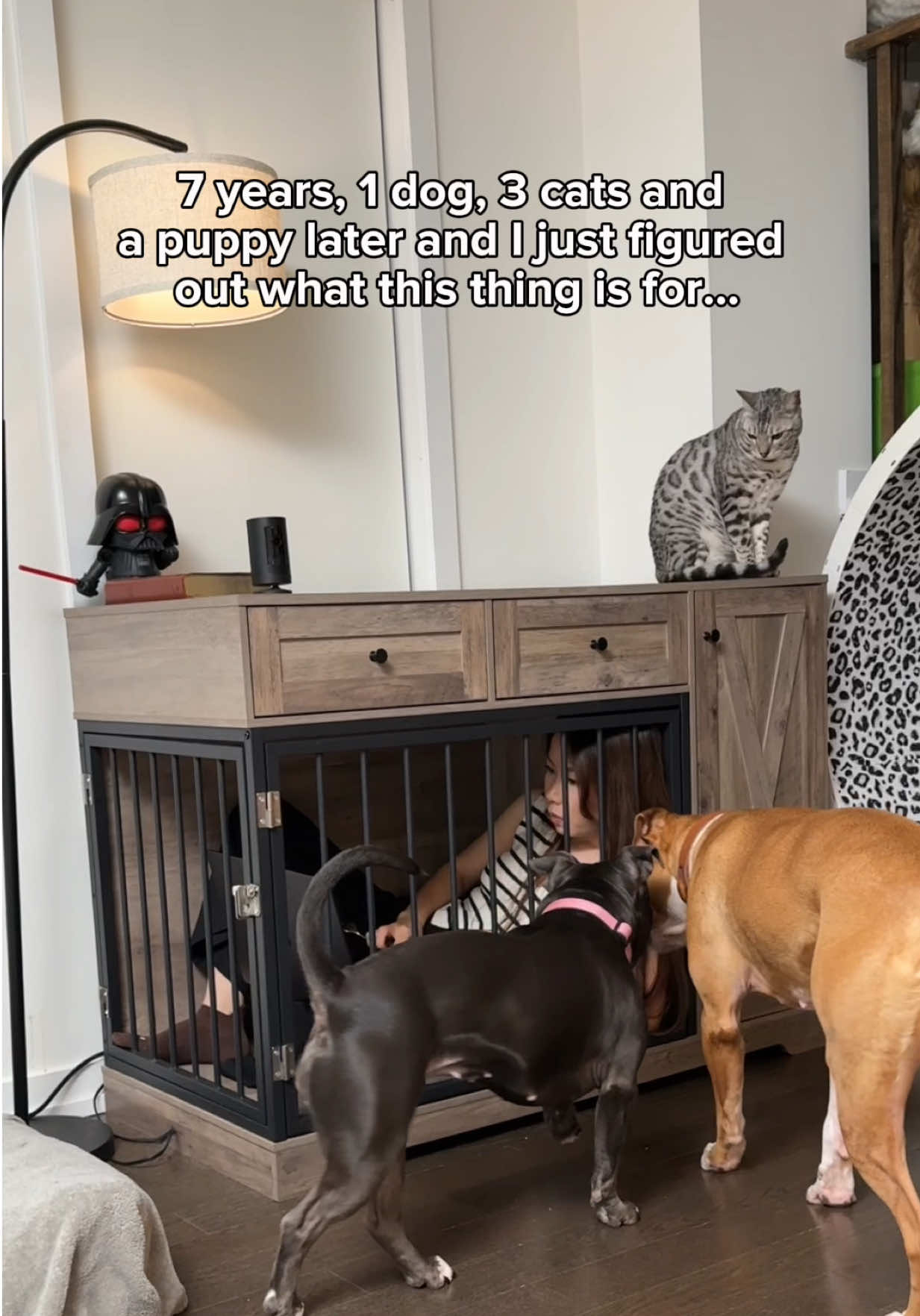 @Luna The Pittie