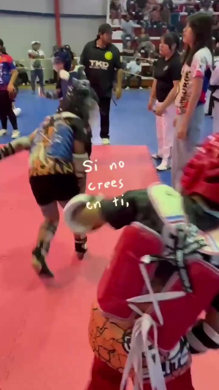 @taekwondolionsteam