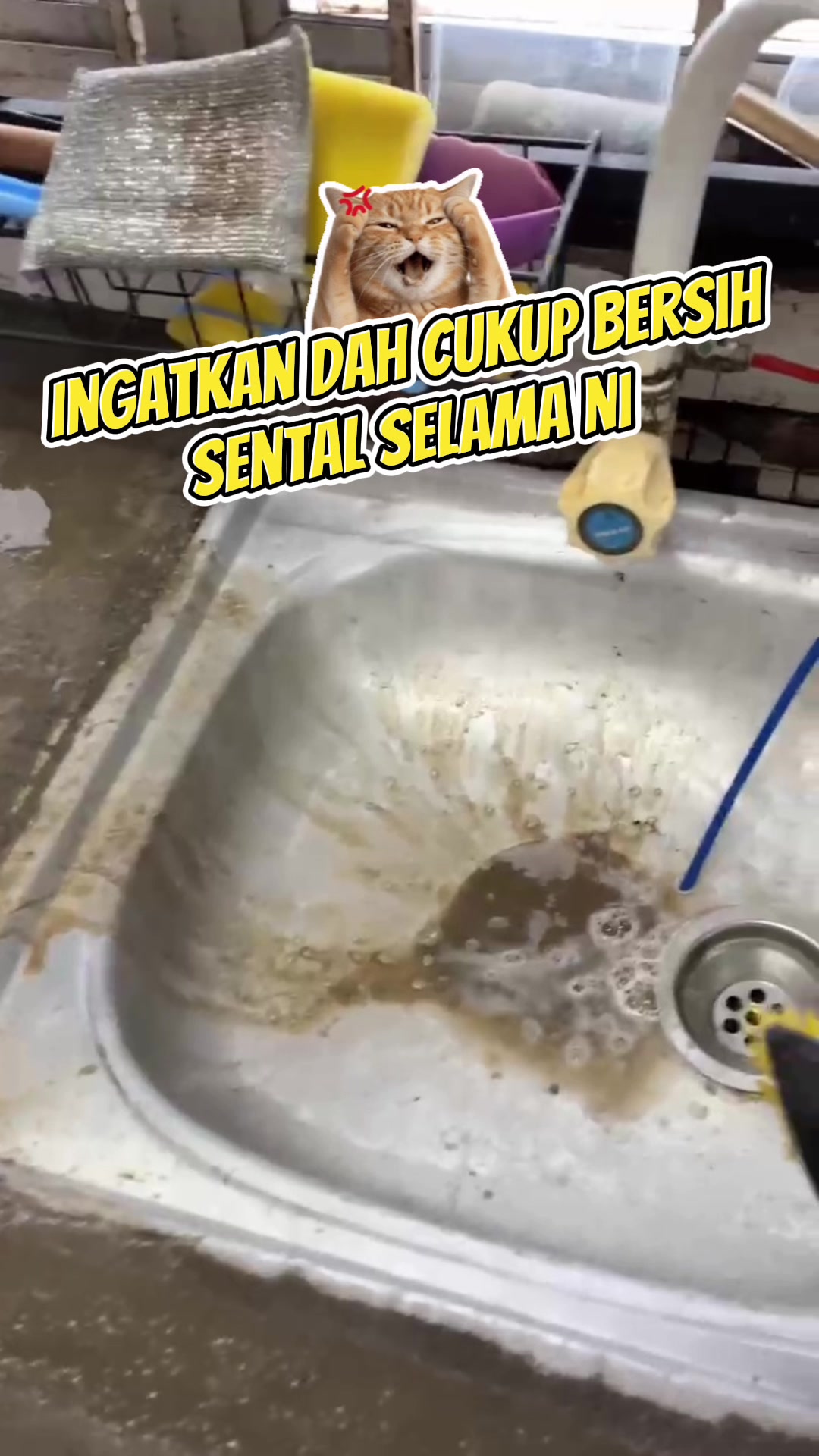 @Jaja | racun tiktok