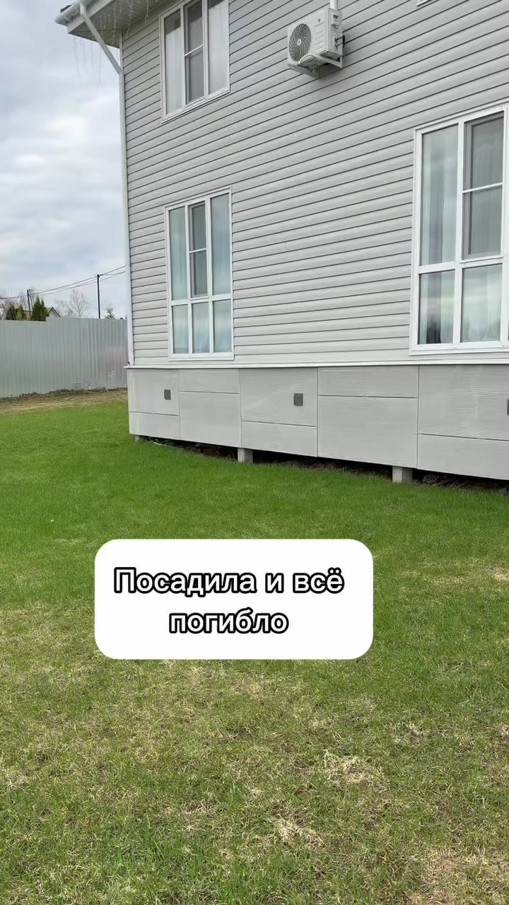 @Nadezhda.alisia