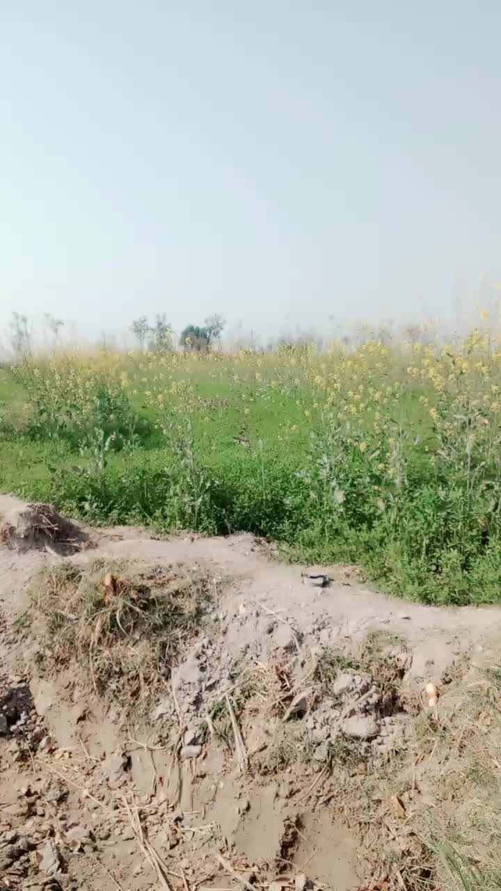 @rahem549