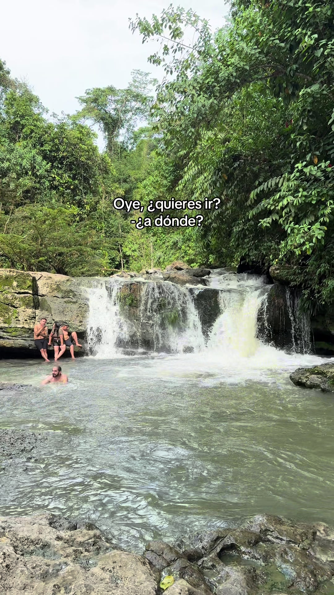 @Amazonia Vive💚(Wlady)🇪🇨😎