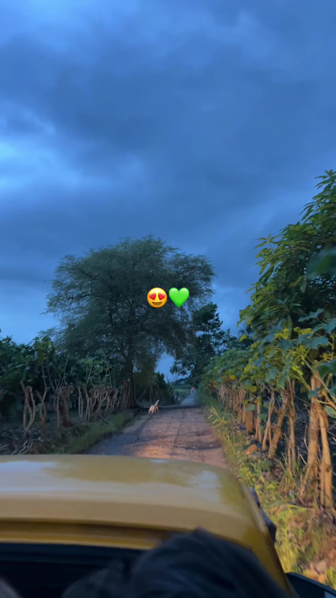 @Scar🦩🍄