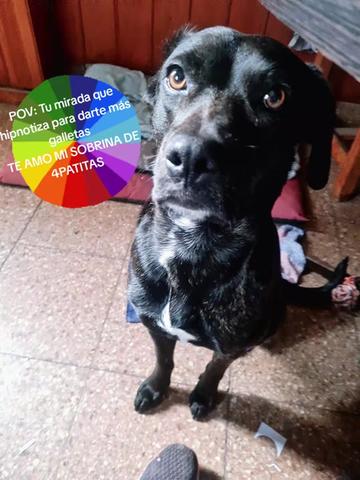 @🌻❤️Gaby(ojitos,verdes)❤️🌻