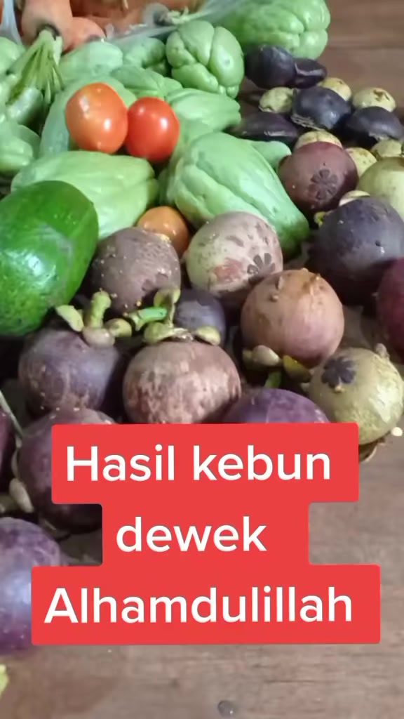 @SEPTIANA