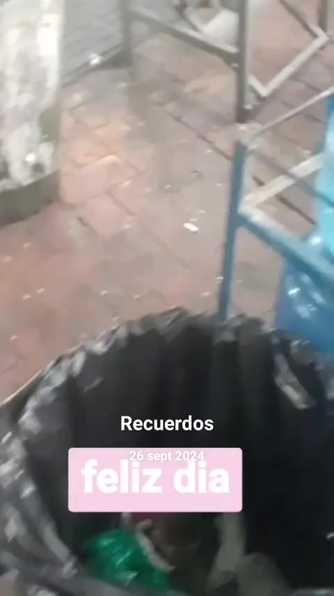 @willy