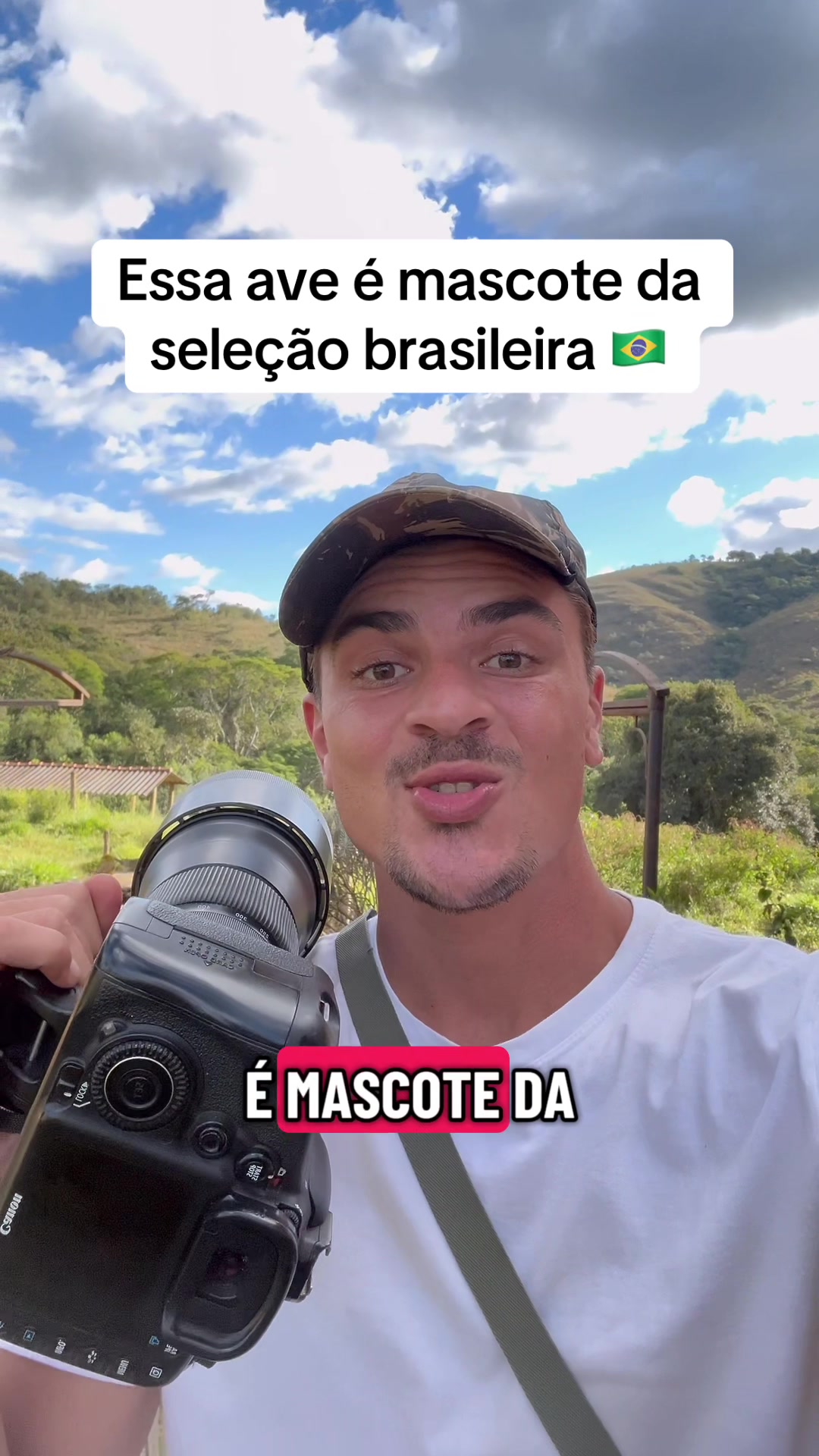 @Vinícius Köhn Pássaros