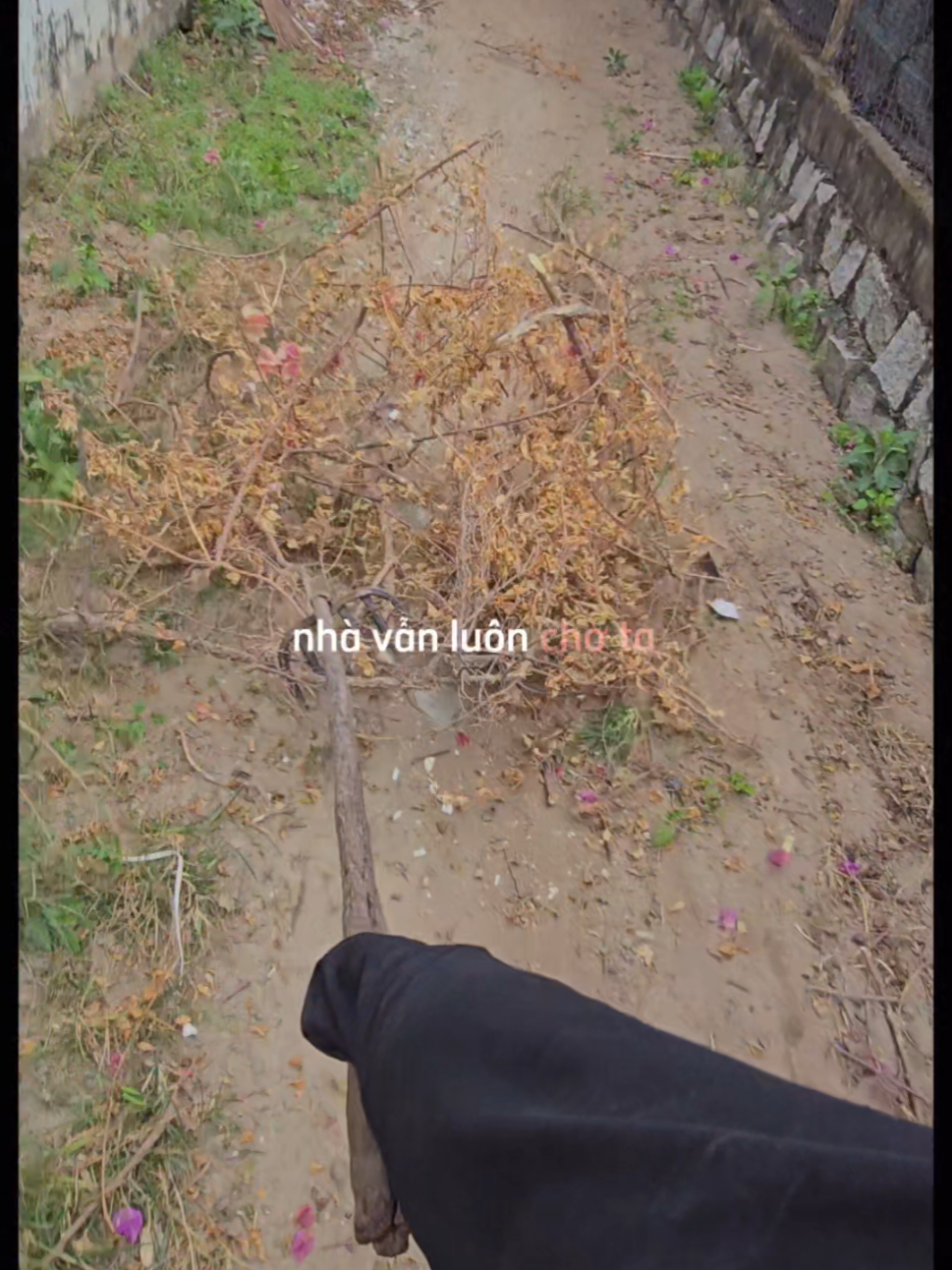 @Nhật Duy