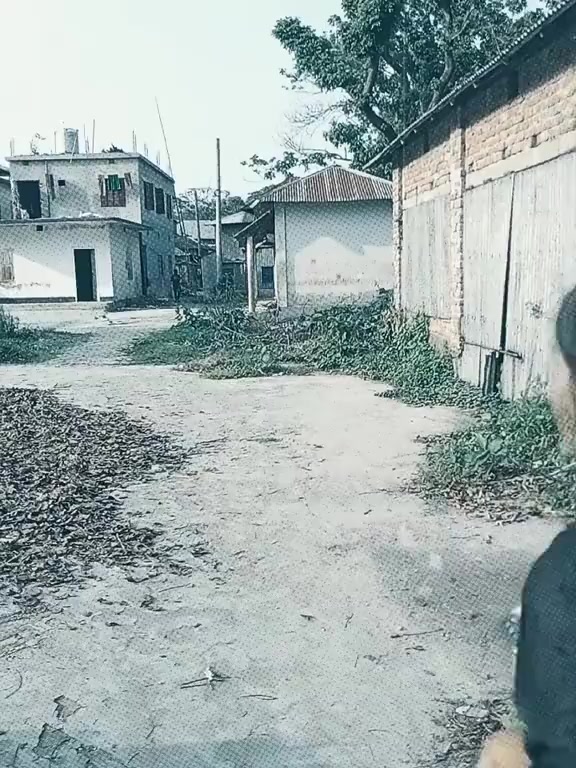 @Puja Roy