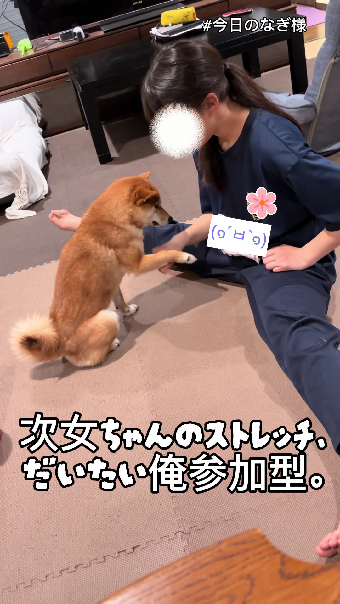 @こまめとしばーず🐾