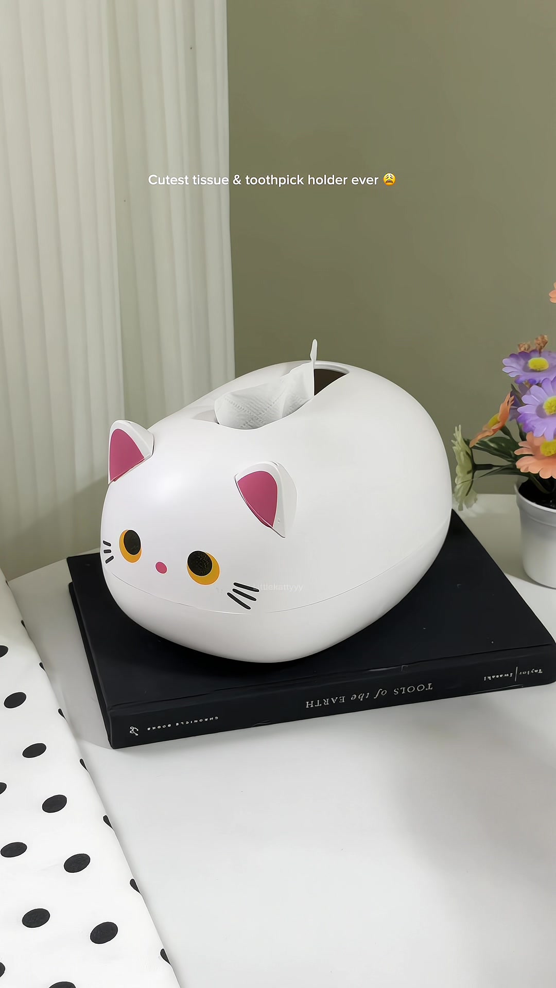 @Ꮙ˖