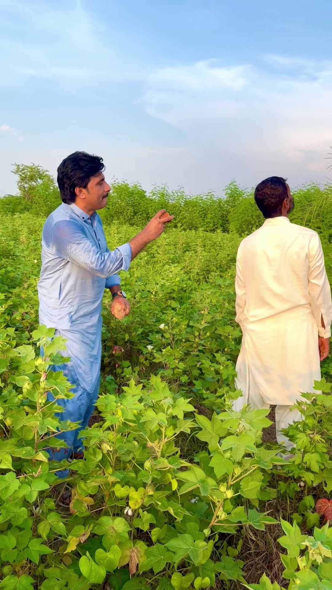 @Ali Faisal Jutt