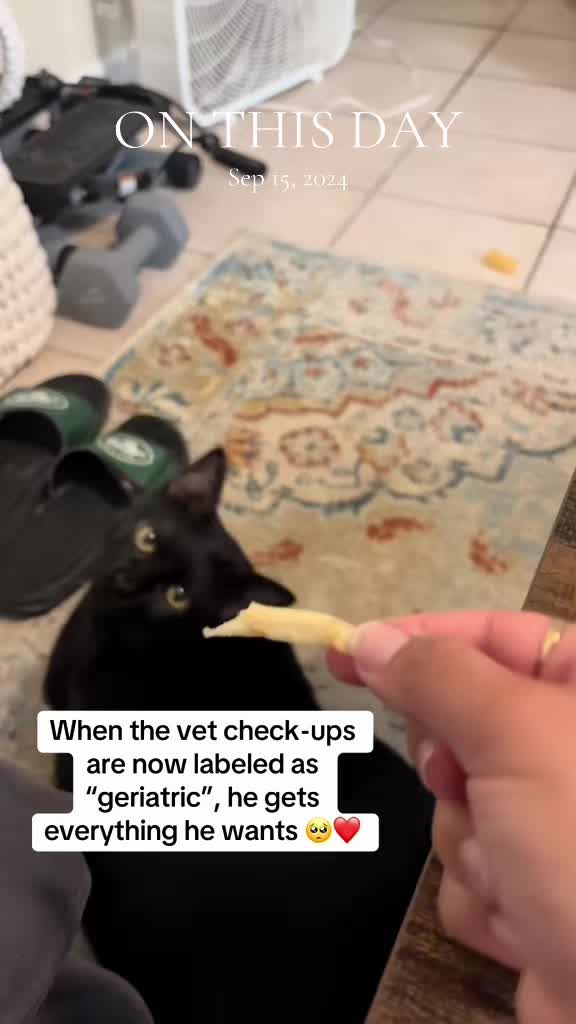 @Roxanne - thenovelsanctuary