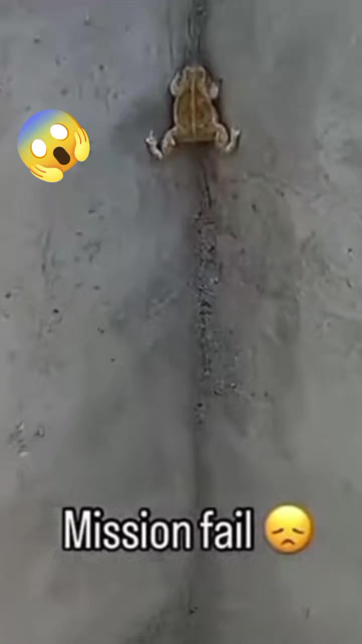 @aristideseur