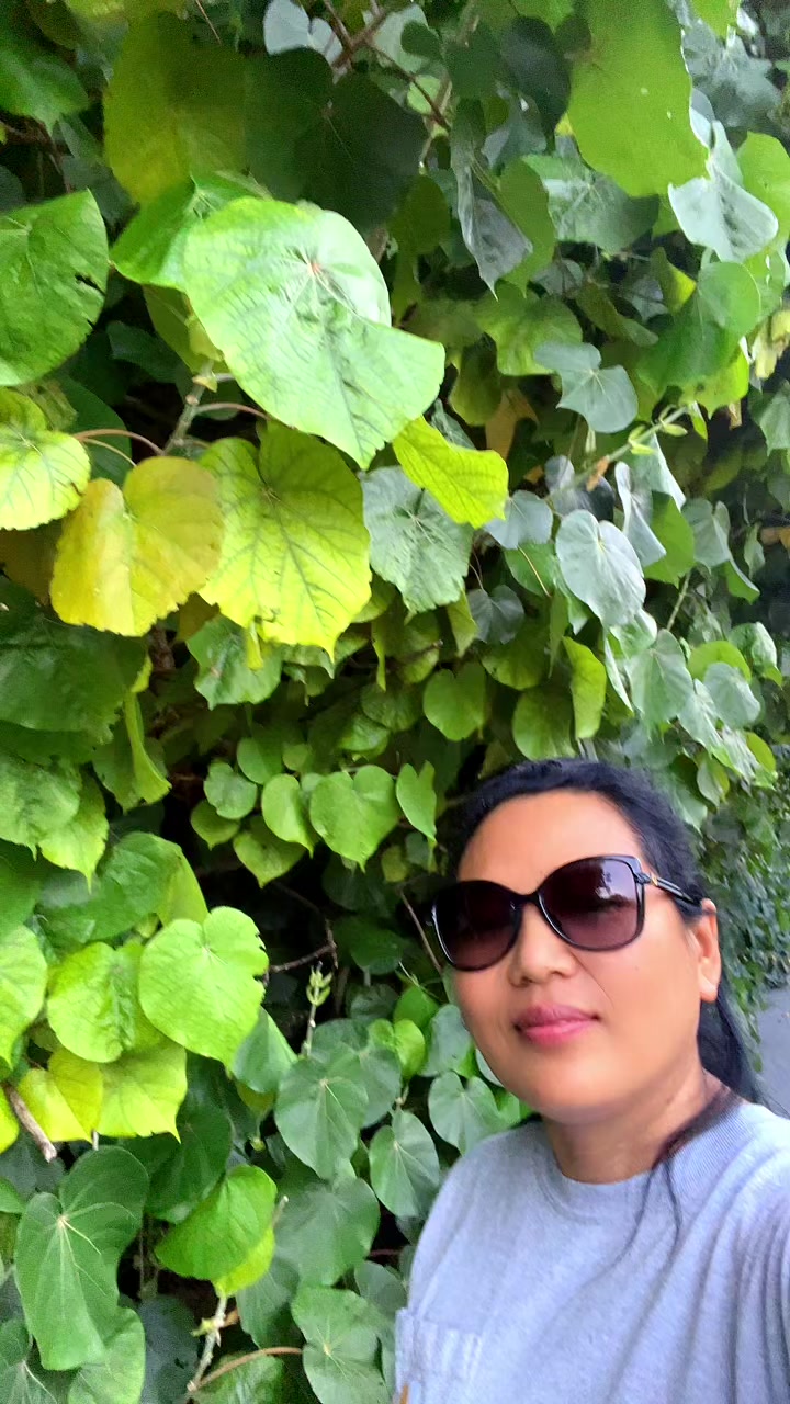@Budhi Tamang