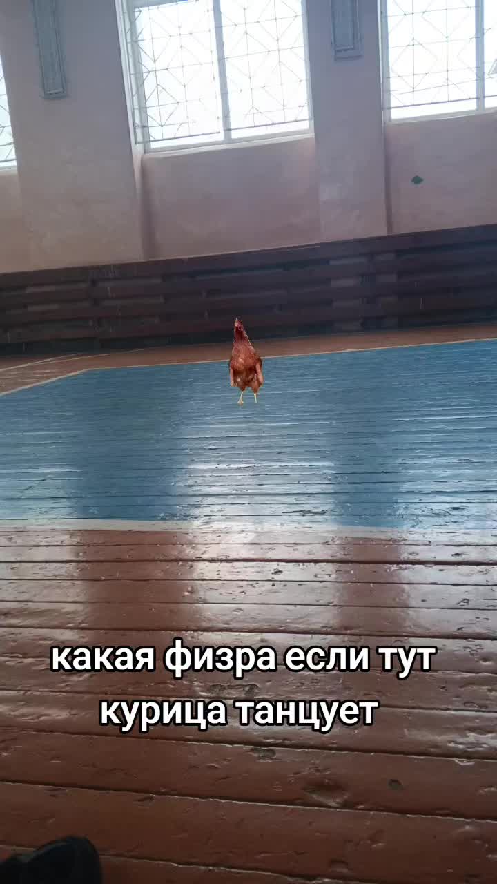 @Алинка😅❤