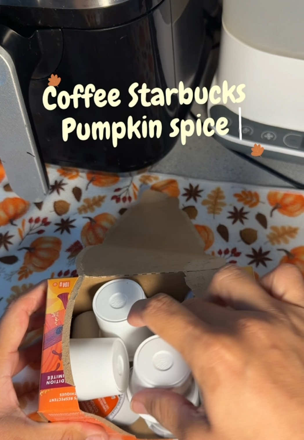 @Melo Autumn