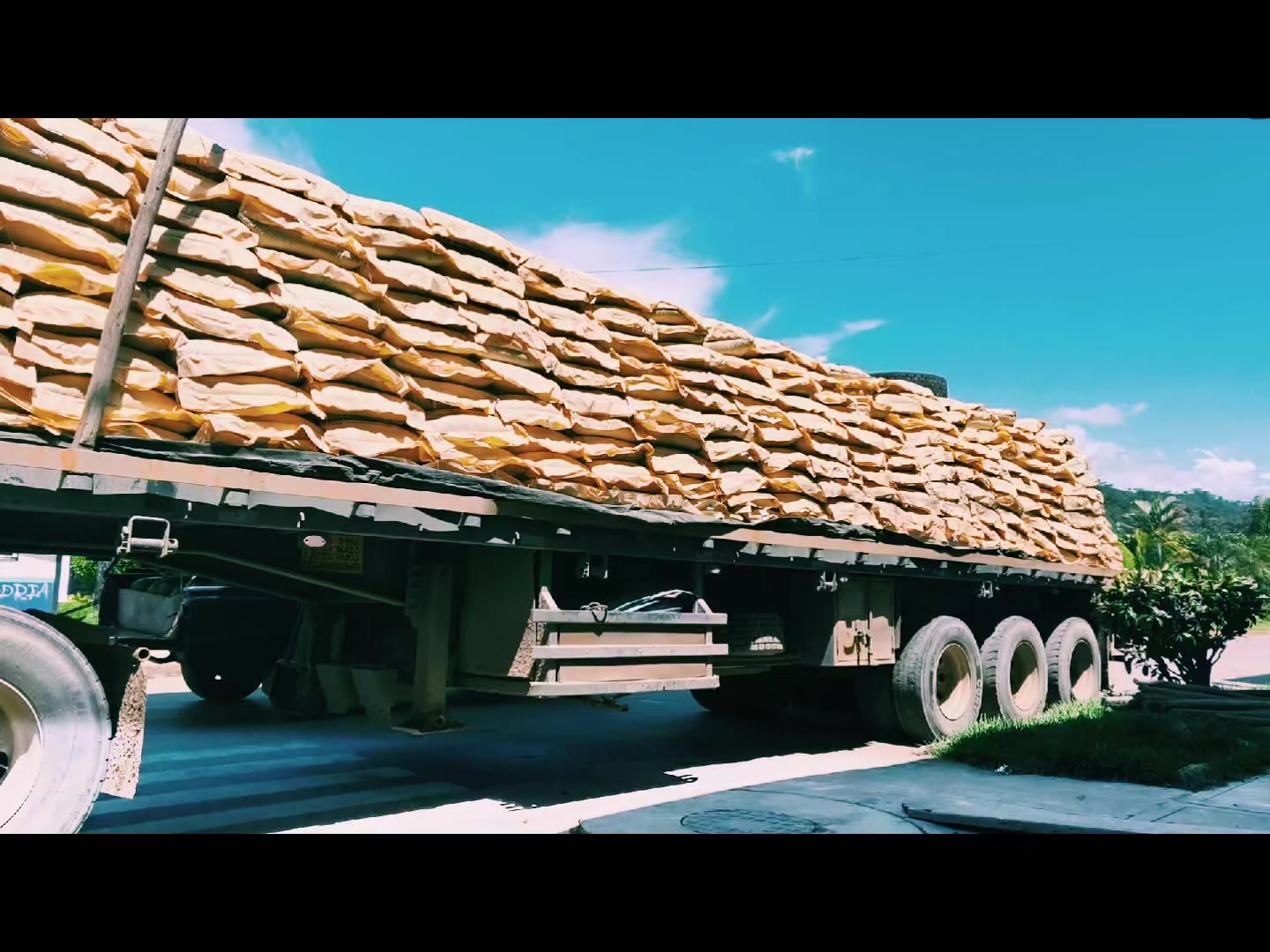 @TRANSPPEX 🚛🚛❤️