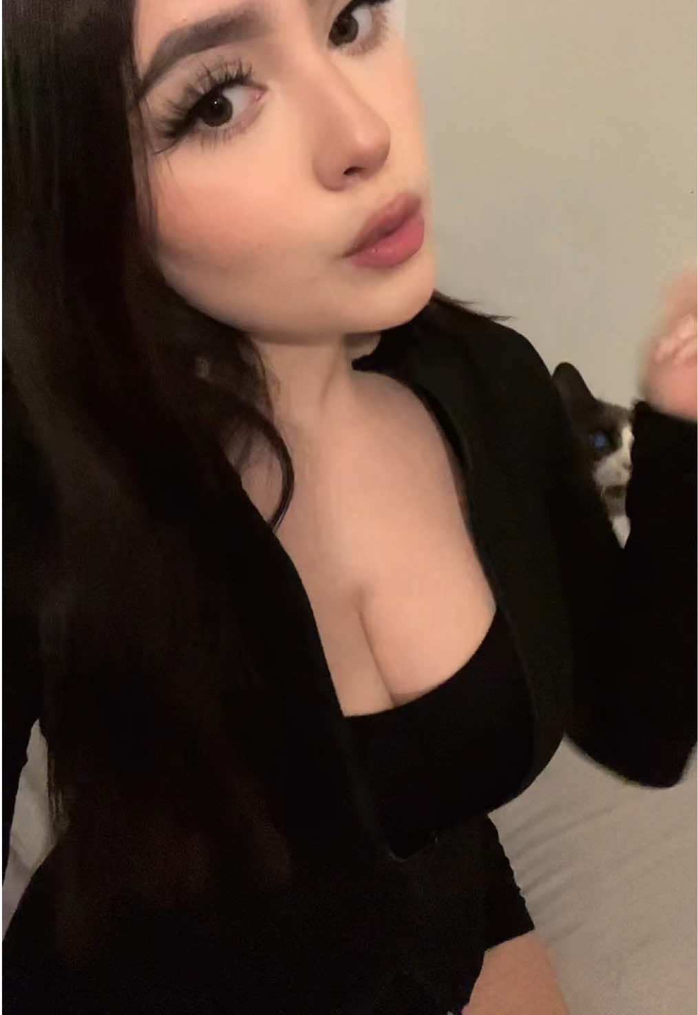 @atheneitaa__