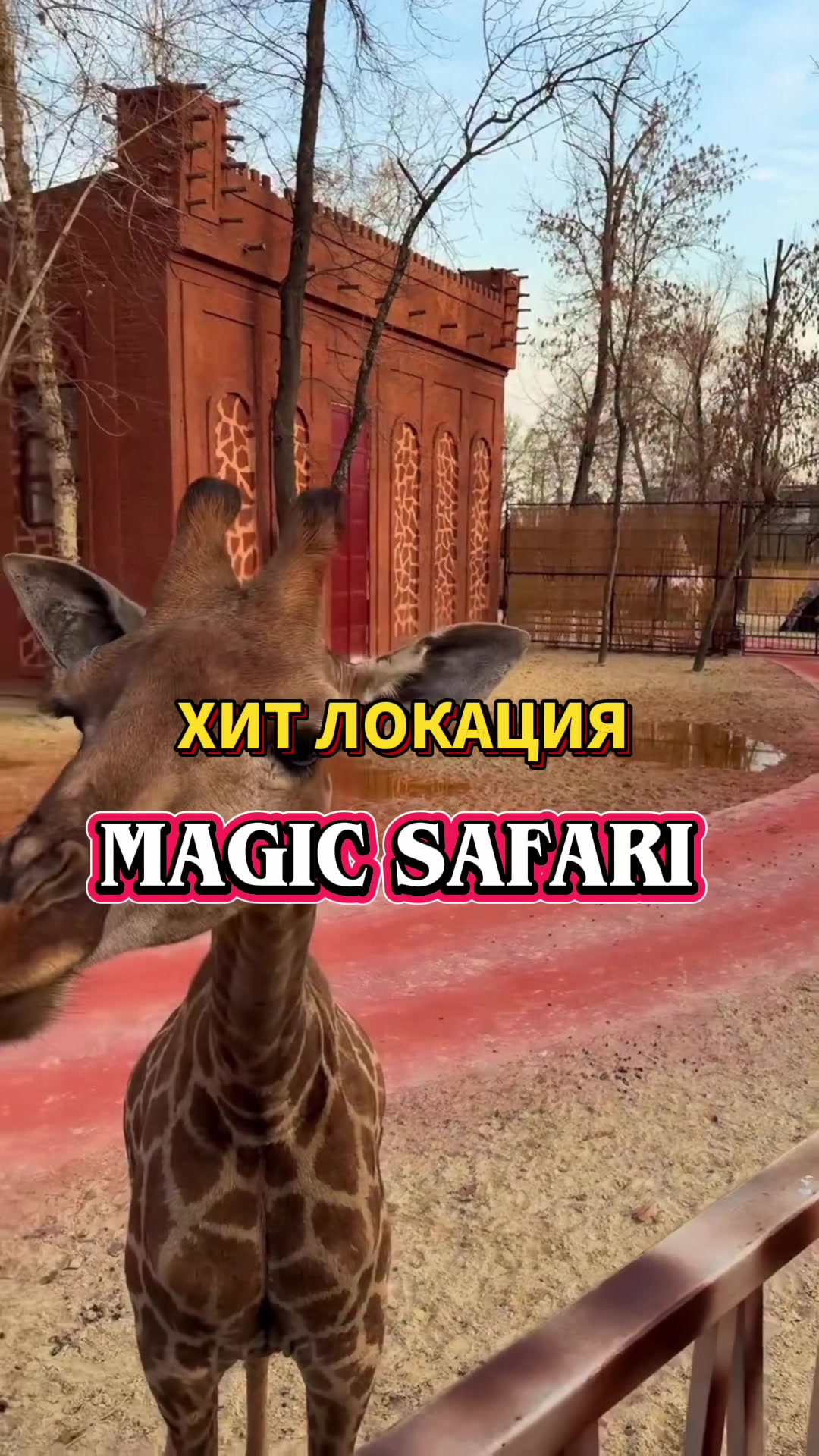 @almas_tour
