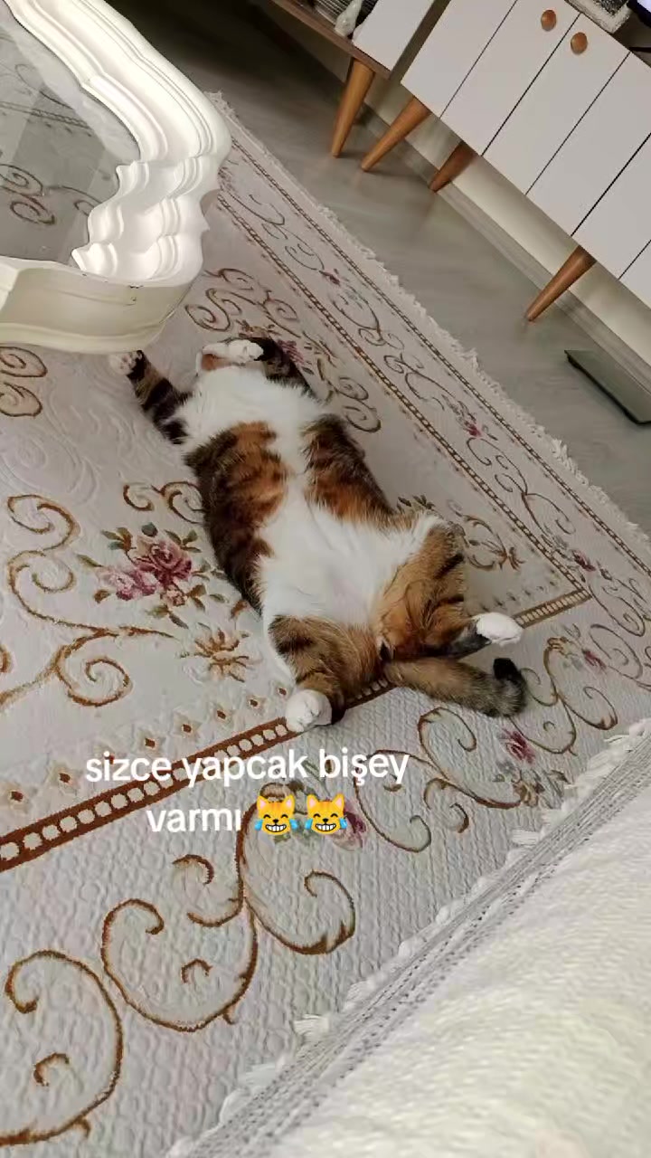 @şanslı
