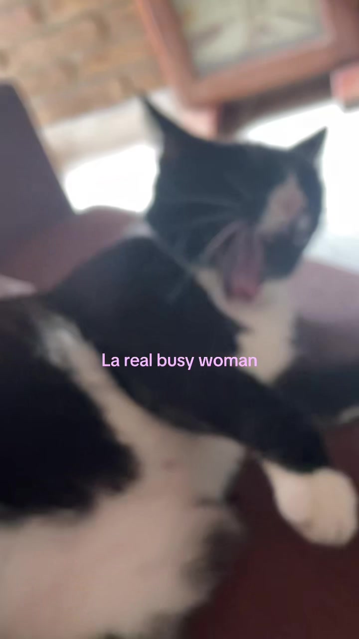 @luu