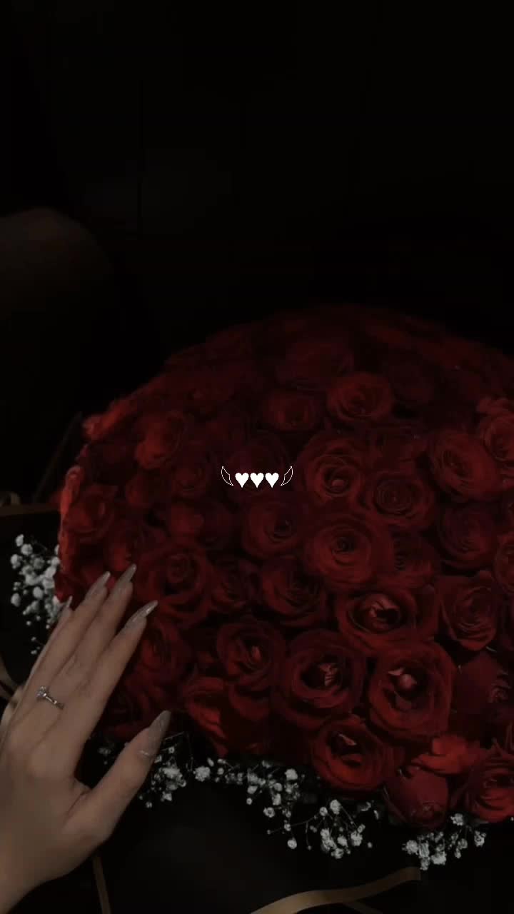 @ℛ𝒪𝒜𝒜👑✨