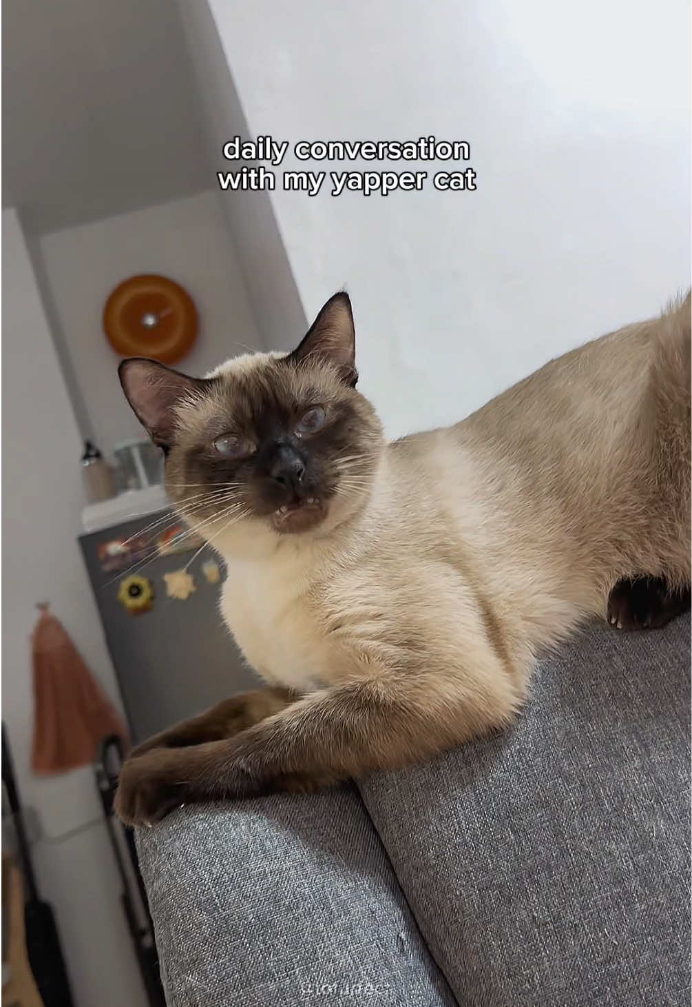 @TOFU
