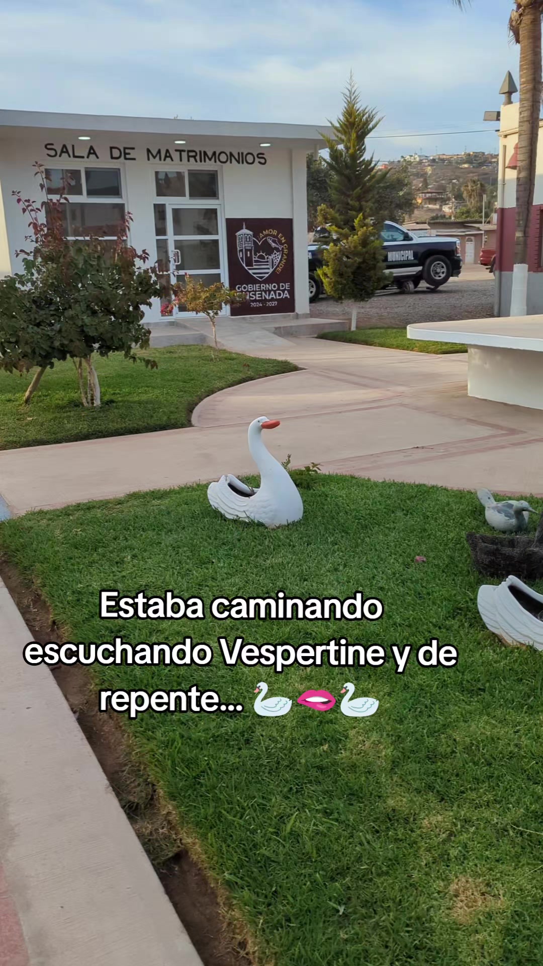 @Jes&uacute;s Trist&aacute;n