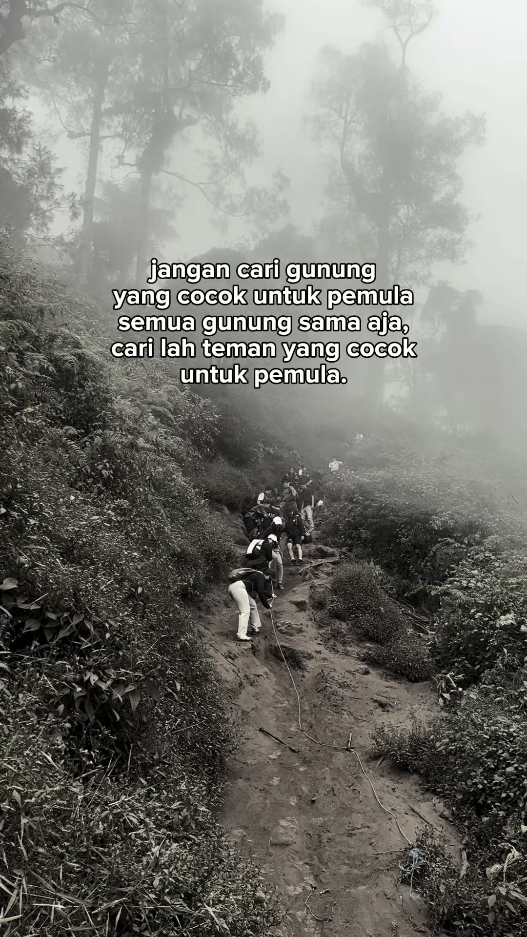 @Ib~Borges