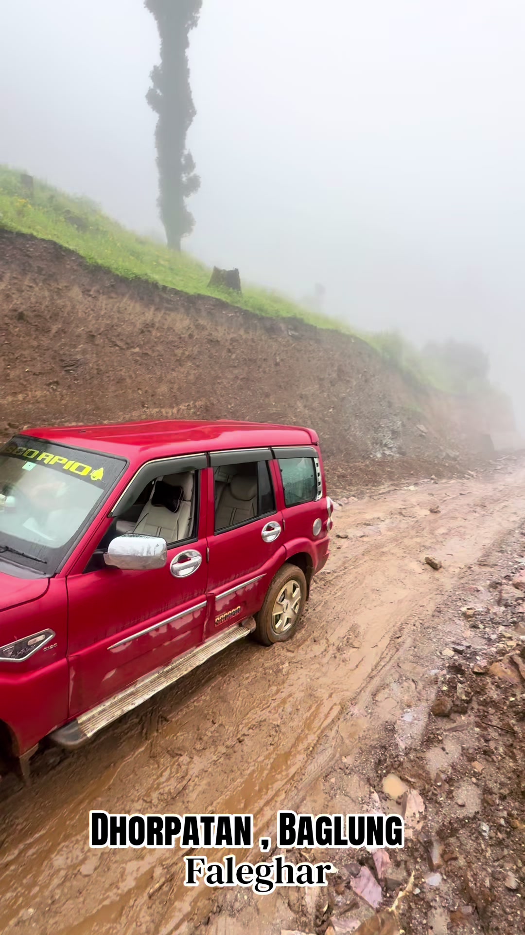 @Basnet Travels 🚙