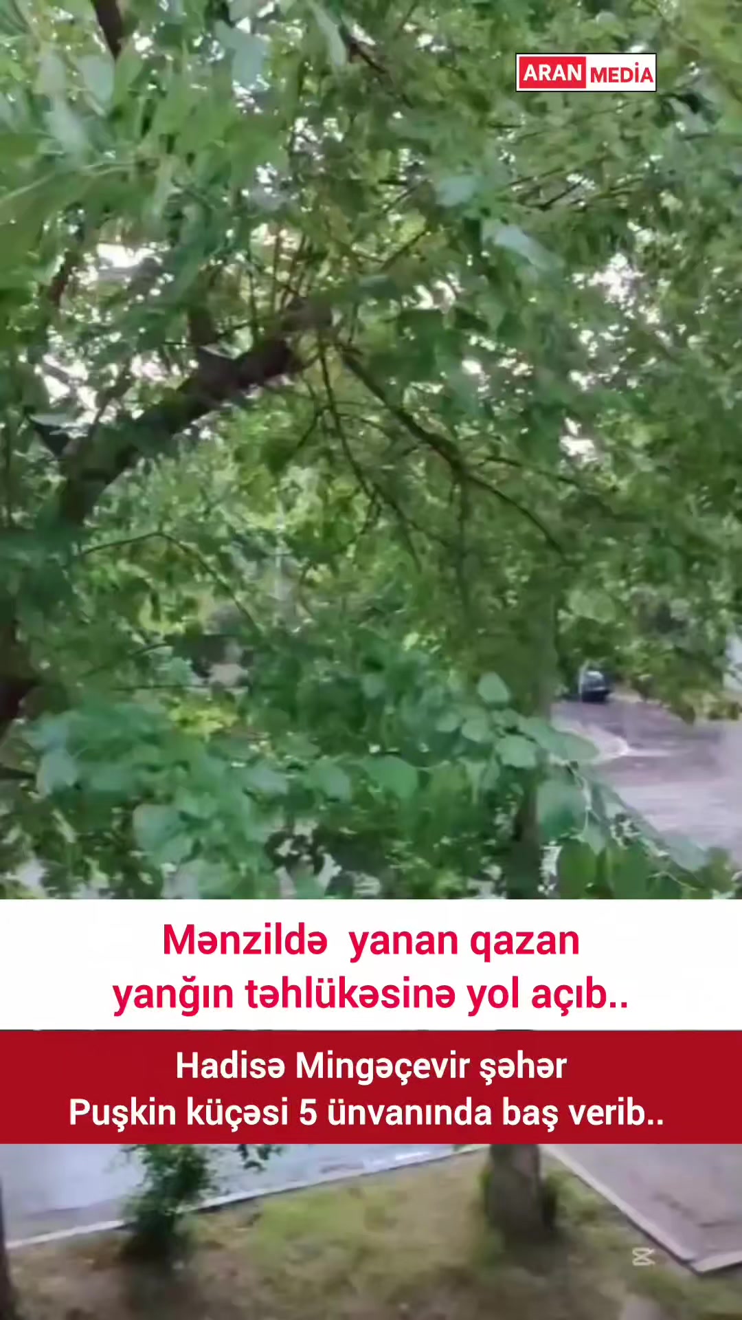 @Aran Media