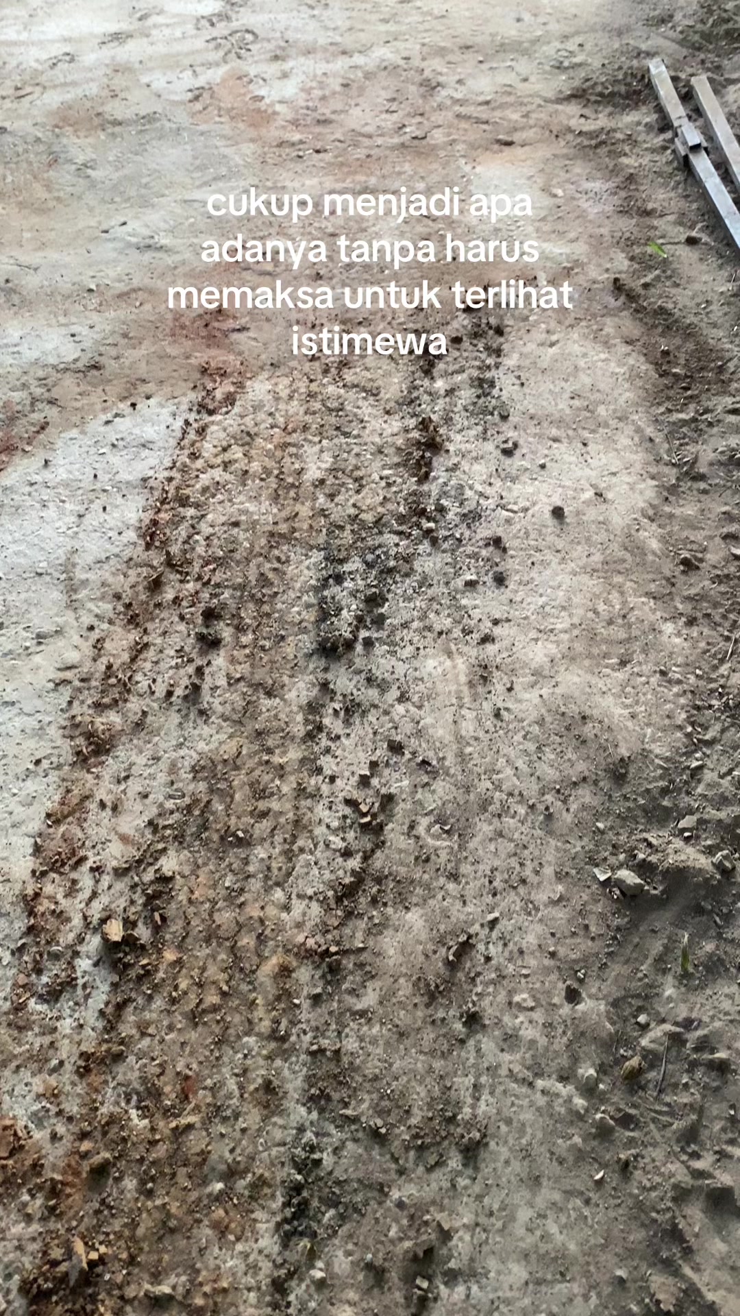 @cemot
