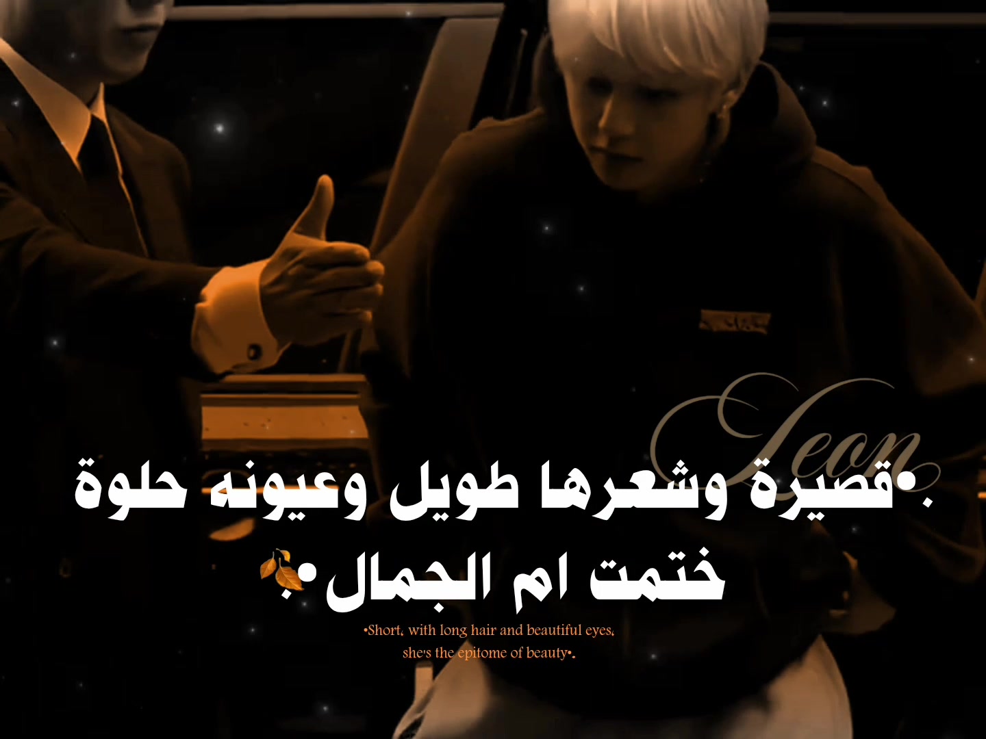 @لِــيُــــوْنᵛ ᶠᵃⁿ .ヤ