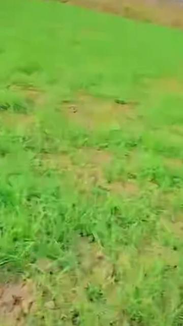 @RAJAUSAMA