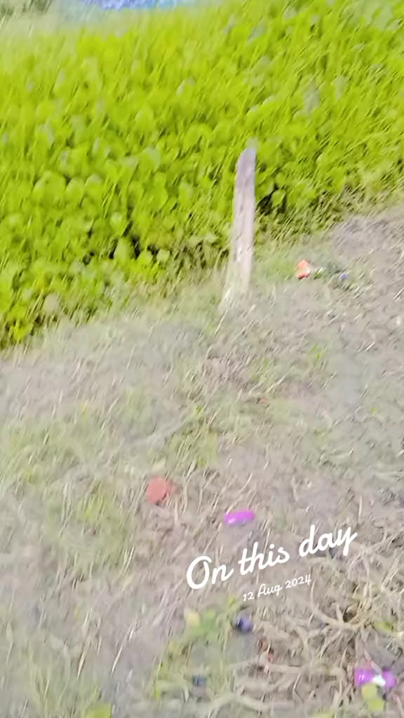 @&hearts;️চরফ্যাশন বাংলাবাজার ছেলে 🌹