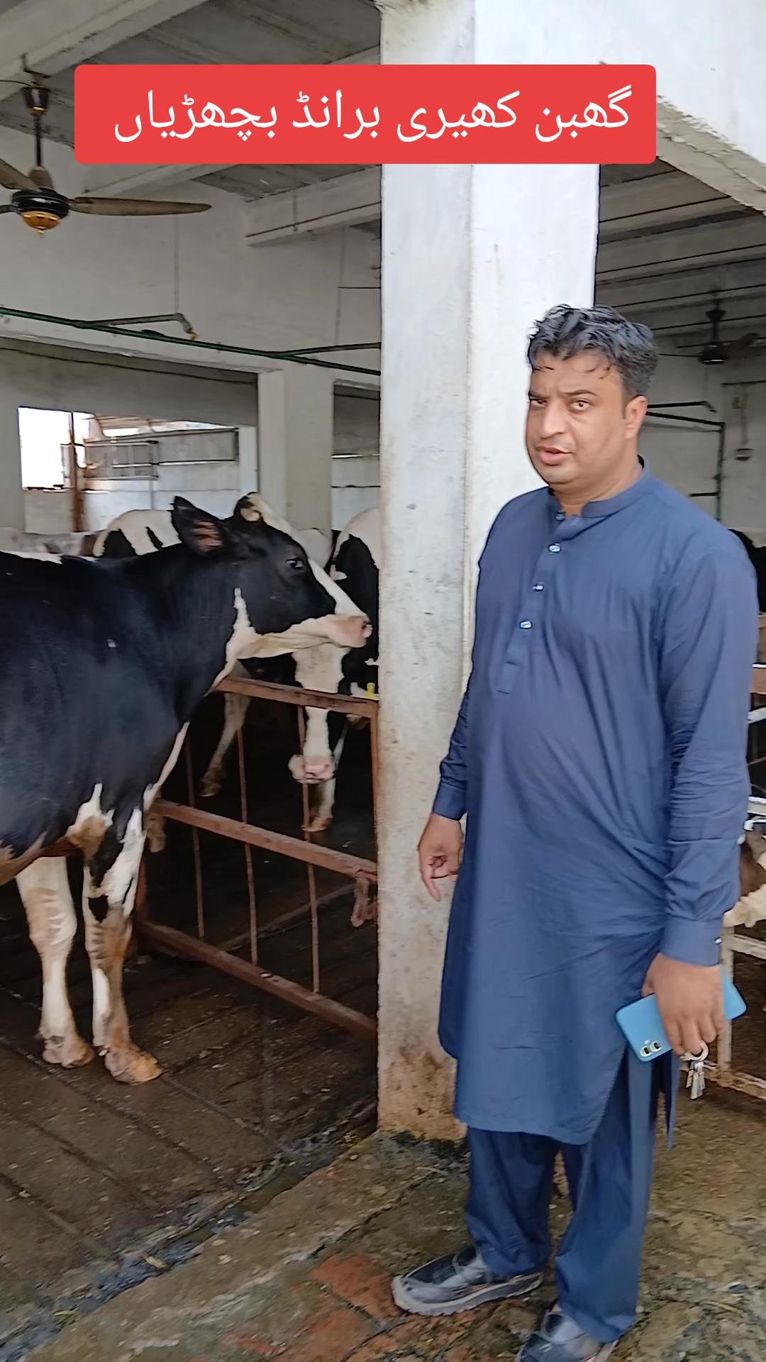 @Farming and Business Ideas