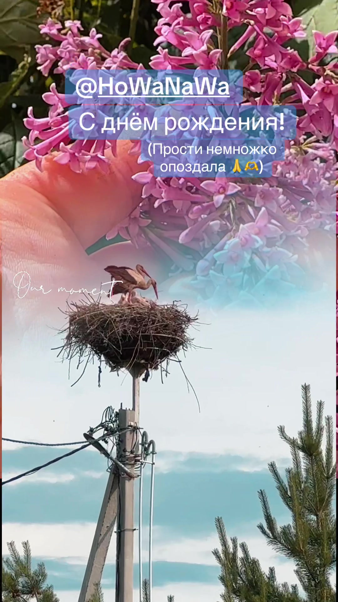 @Анастасия Чернявская.