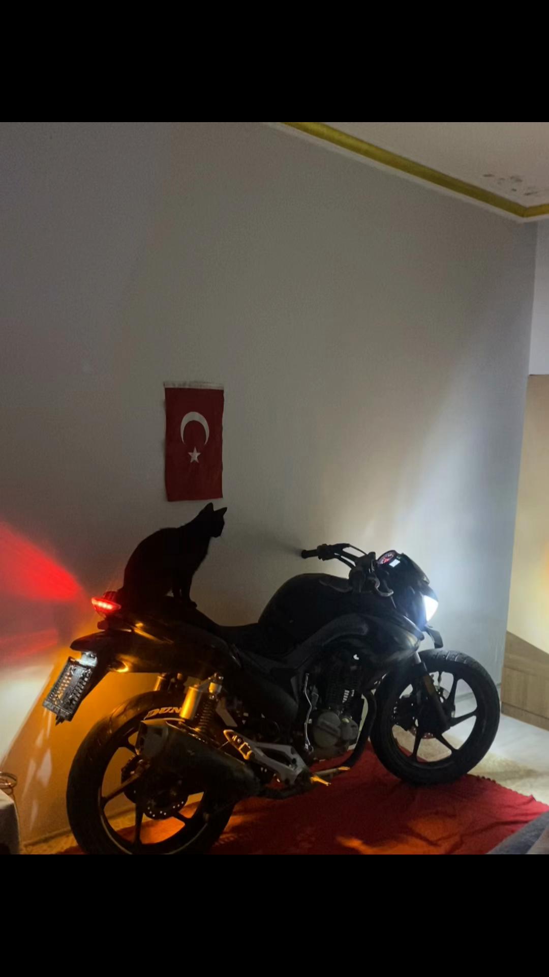 @𝐄𝐑𝐄𝐍 