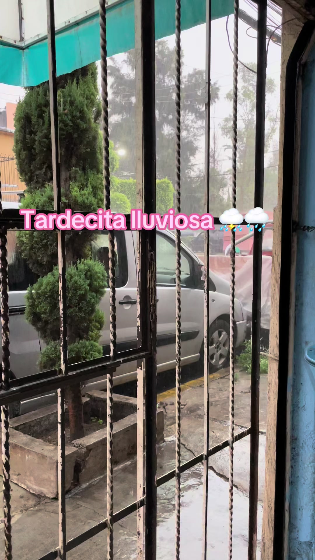 @Rosaura Sanchez