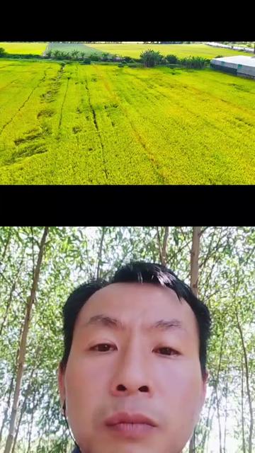 @Nguyễn Hữu Thọ