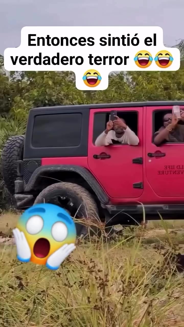 @Mario_dbl19🏹