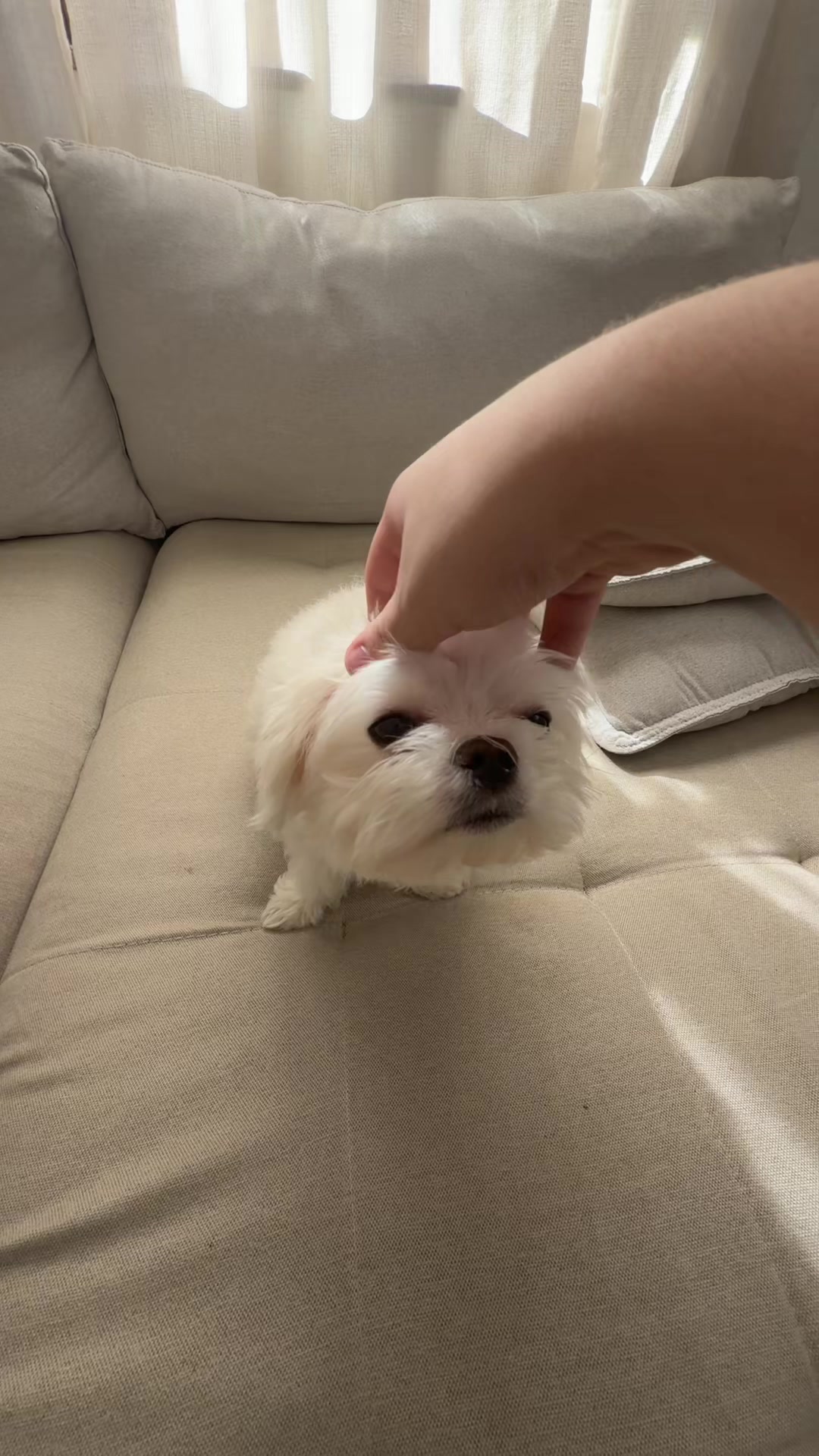 @Biluzinho