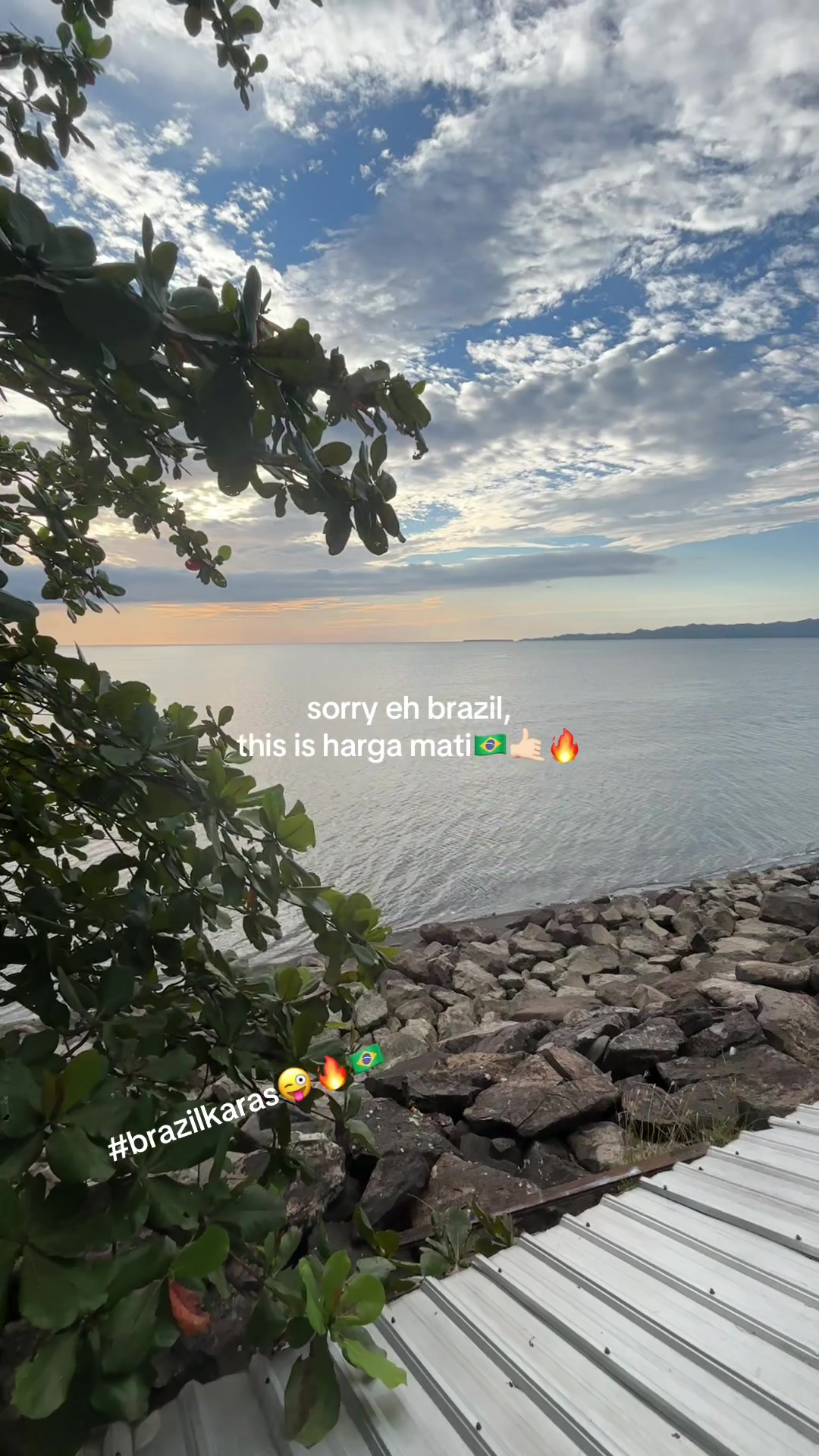 @youknowshii🇧🇷