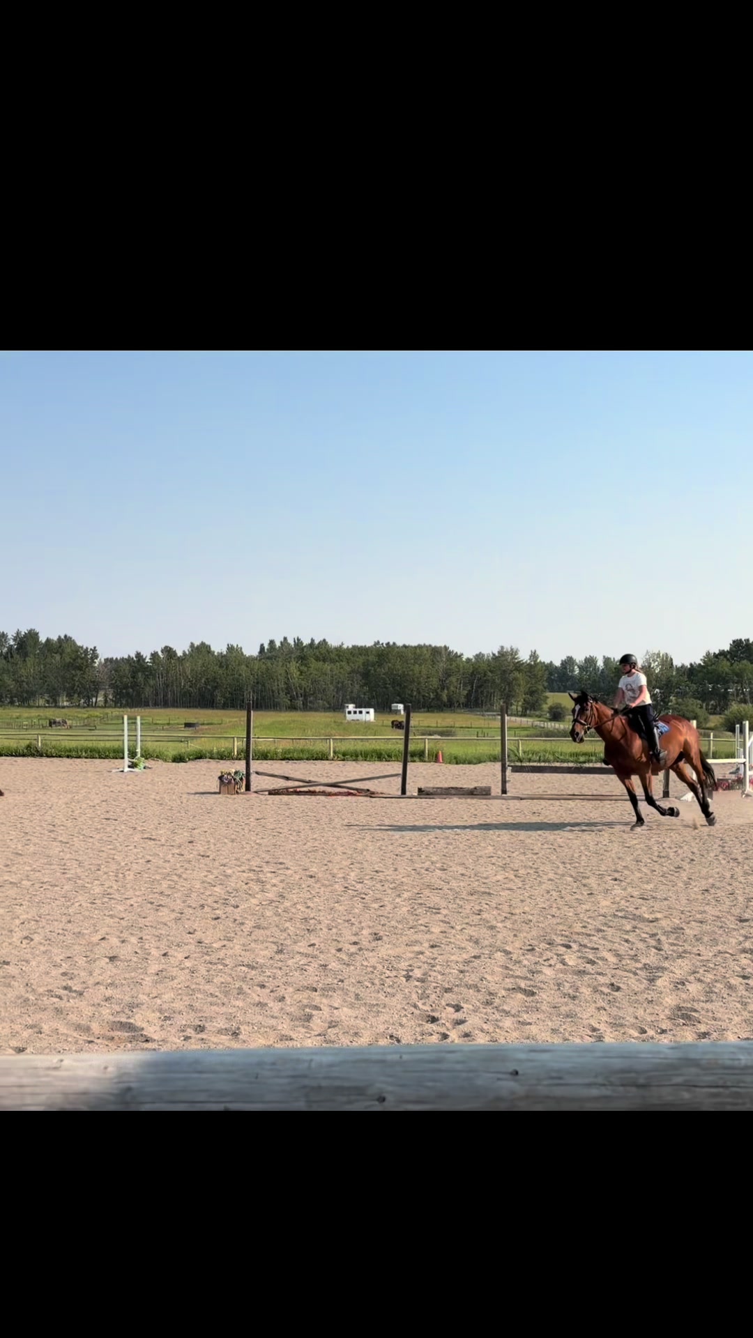 @Kaya_Equine _Molly