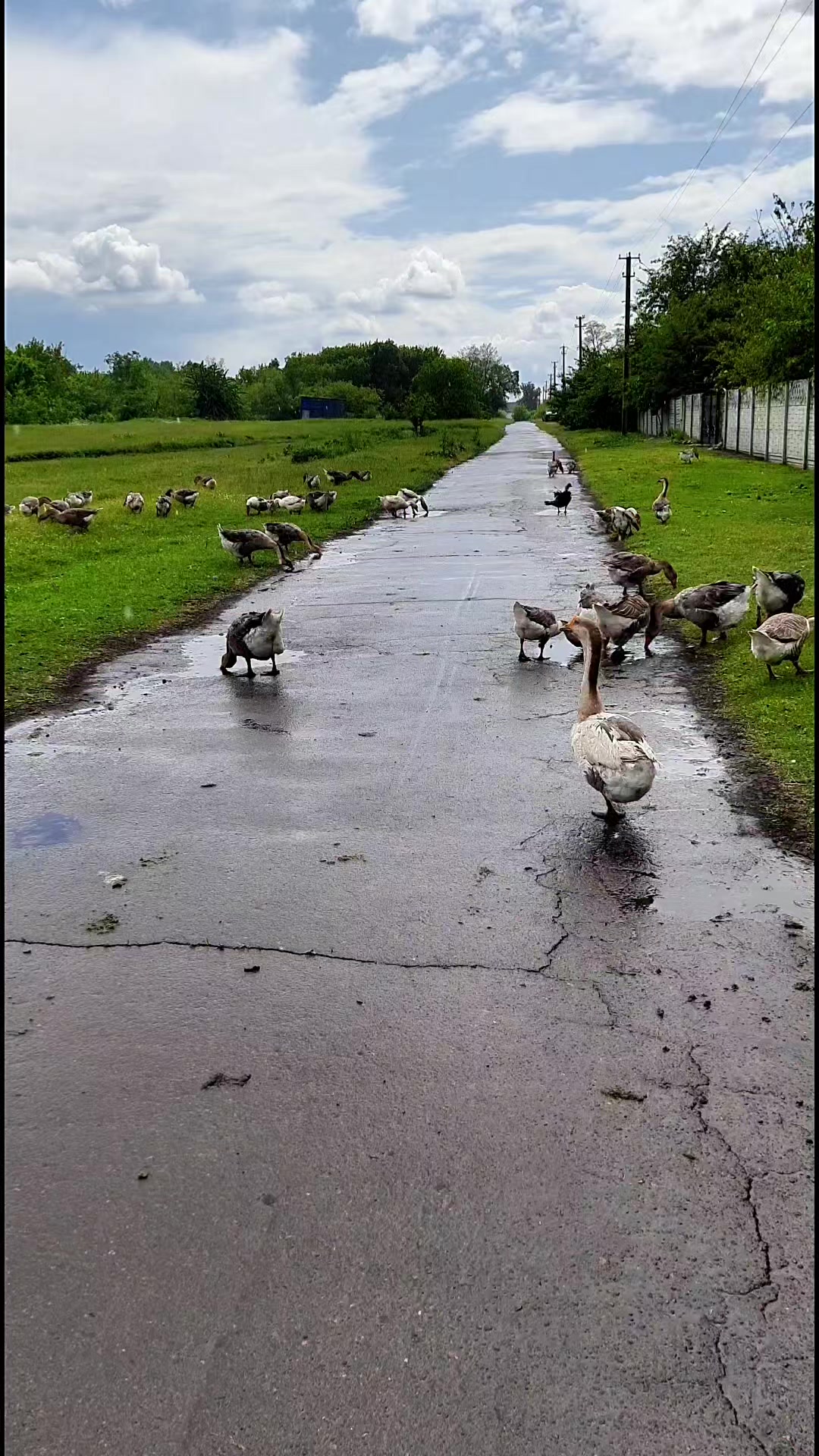@Усадьба Гусево