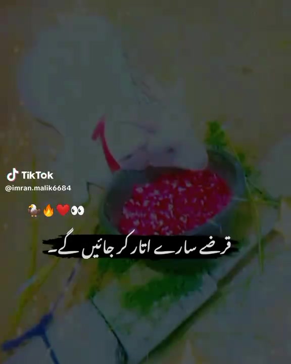 @rihan malik
