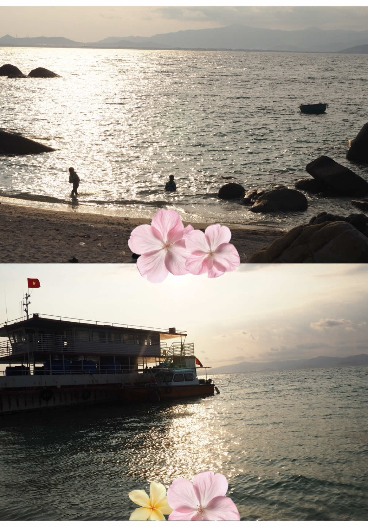 @Merida Lam 🐳🌱
