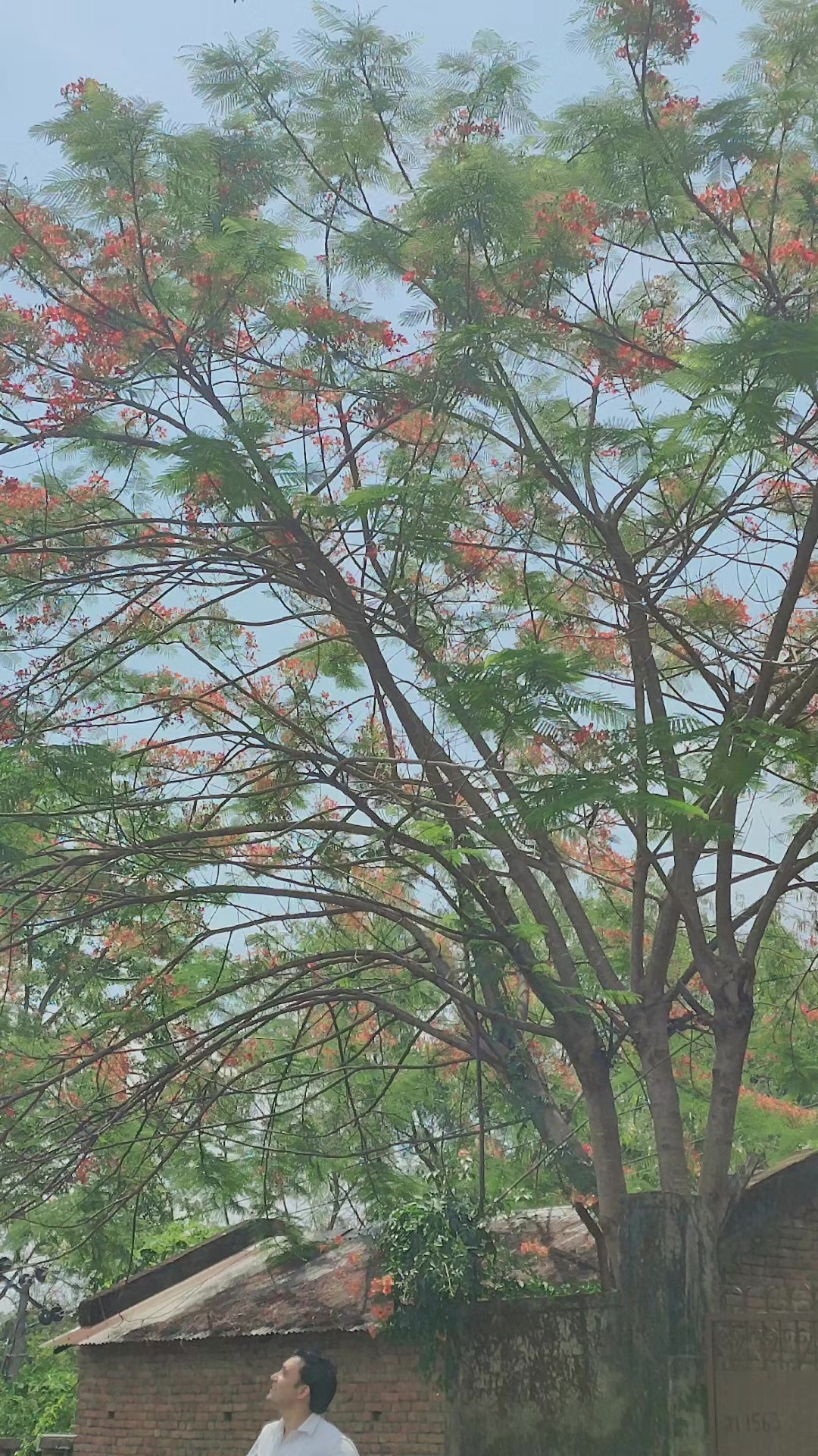 @Paban Kc (अमृत )🕚️